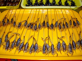 DSC01958