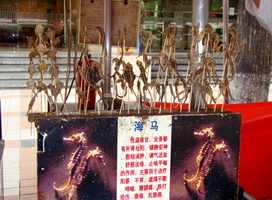 DSC01972