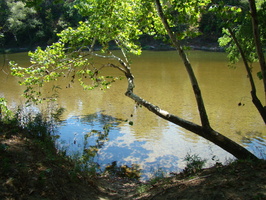 DSC01996