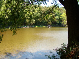 DSC01998