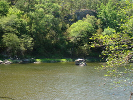 DSC02000