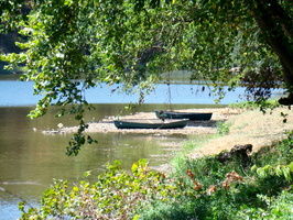 DSC02001