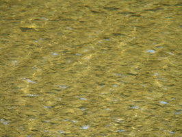 DSC02005