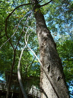 DSC02008