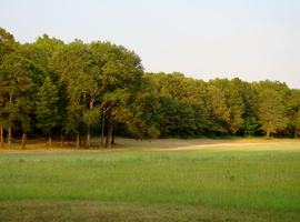 DSC02026