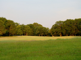 DSC02028