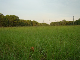 DSC02035