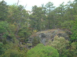 DSC02073