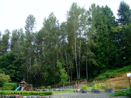 DSC02093
