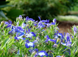 DSC02097