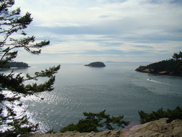 DSC02130