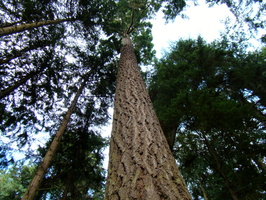 DSC02197