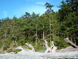 DSC02236