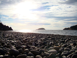 DSC02240