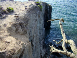 DSC02256