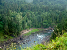 DSC02354