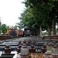 DSC02394