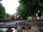 DSC02394