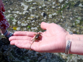DSC02408