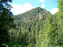 DSC02454