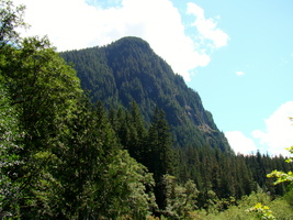 DSC02459