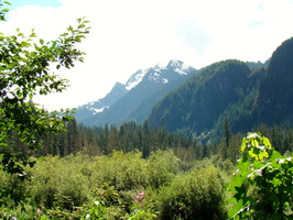 DSC02462