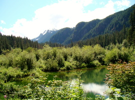 DSC02473