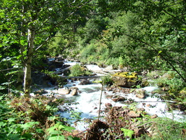 DSC02478
