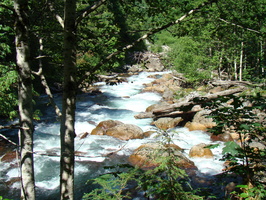 DSC02480