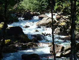 DSC02490
