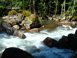 DSC02491