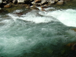 DSC02499
