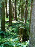 DSC02503