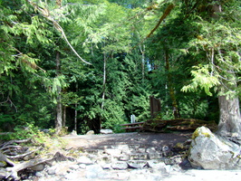 DSC02515
