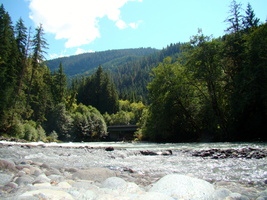 DSC02519