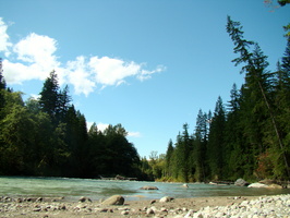 DSC02520