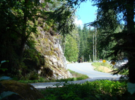 DSC02525