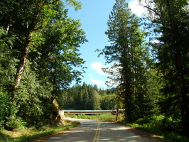 DSC02528