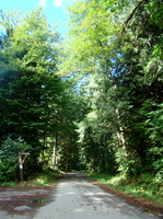 DSC02529
