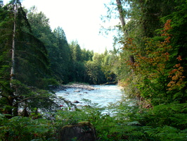 DSC02547