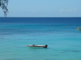 DSC02800