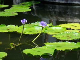 DSC02806