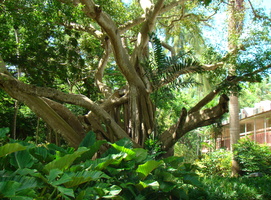 DSC02808