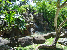 DSC02813