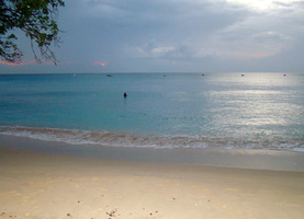 DSC02905
