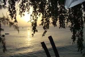 DSC02916