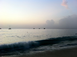 IMG 0507-1712984824