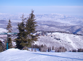 DSC02931