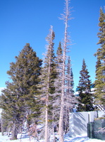 DSC02974