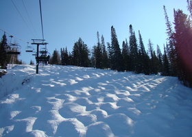 DSC03004